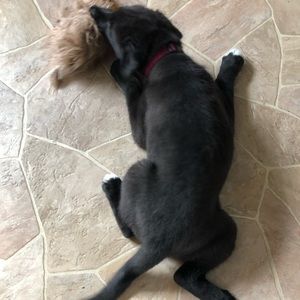 Meet your Posher, Emma